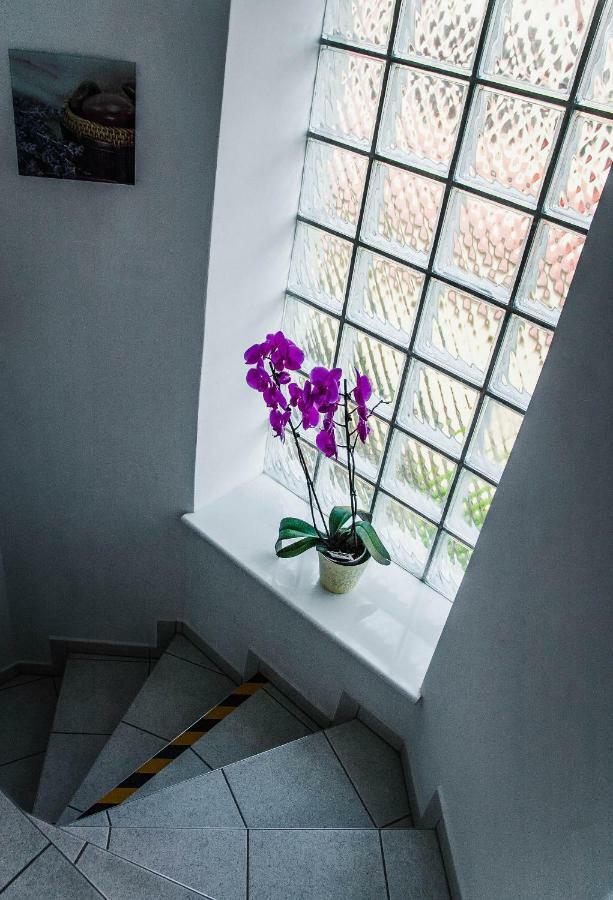 Villa Tara グダニスク エクステリア 写真